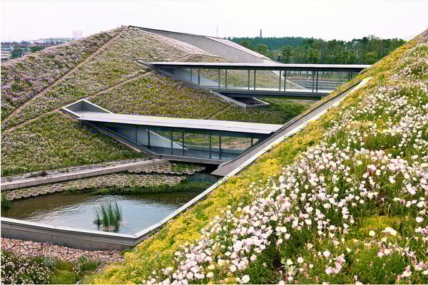 Green Roof