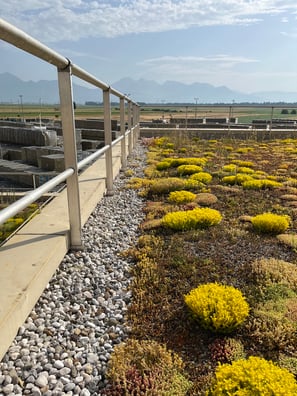 Blog_safetypro_guardrail