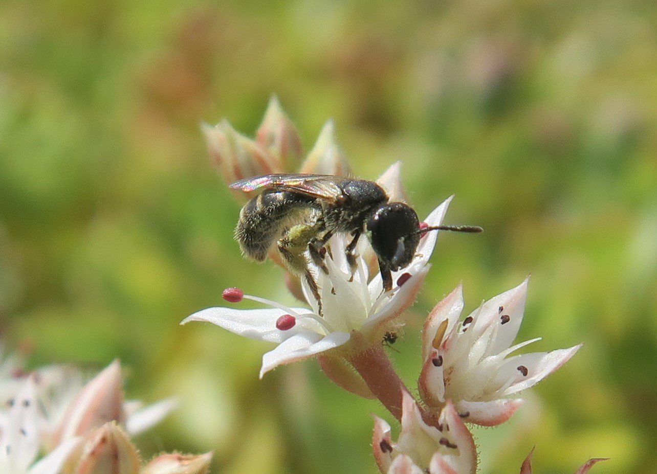 IMG_2586_Danilo_Bevk