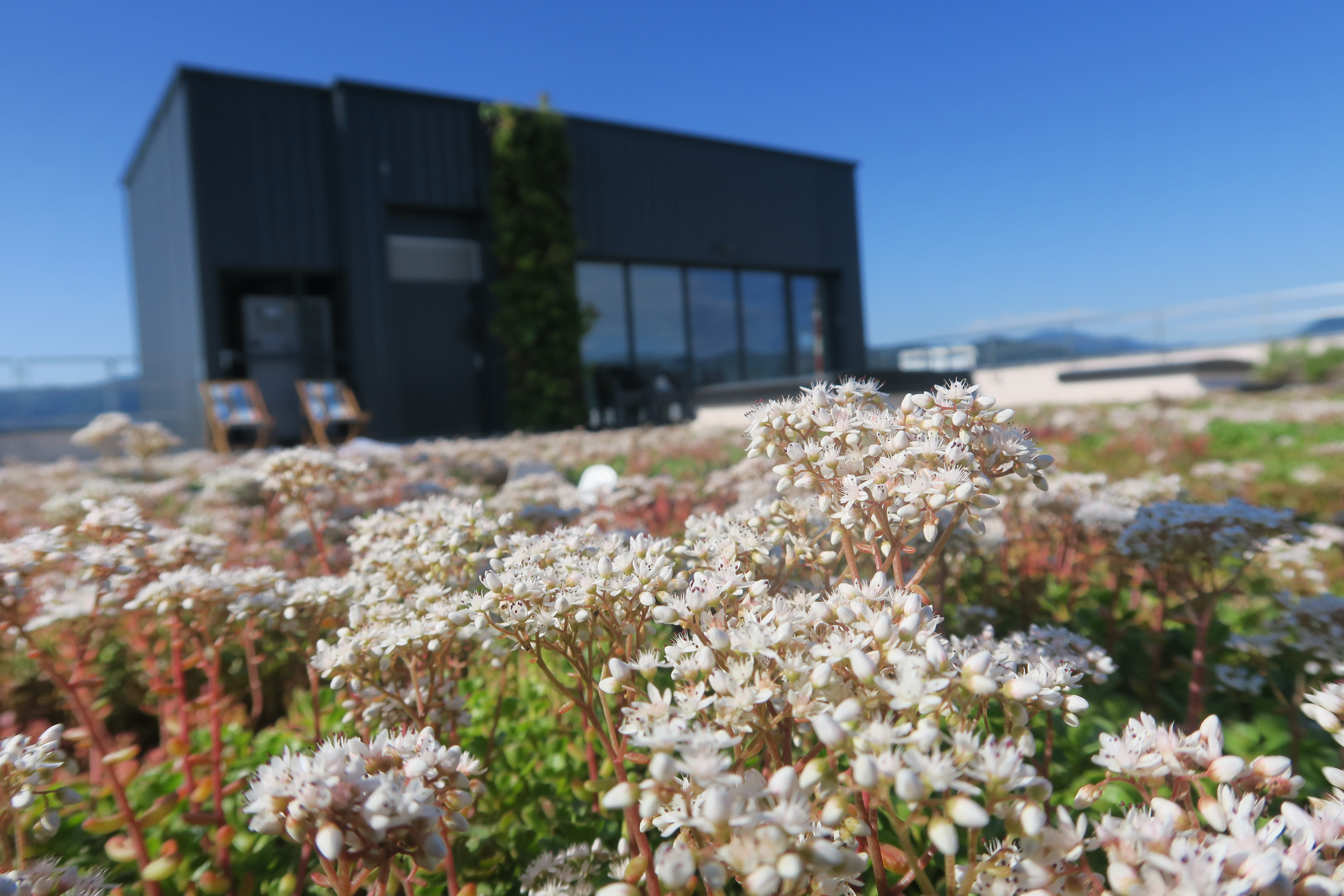 What is happening with biodiversity and nature?