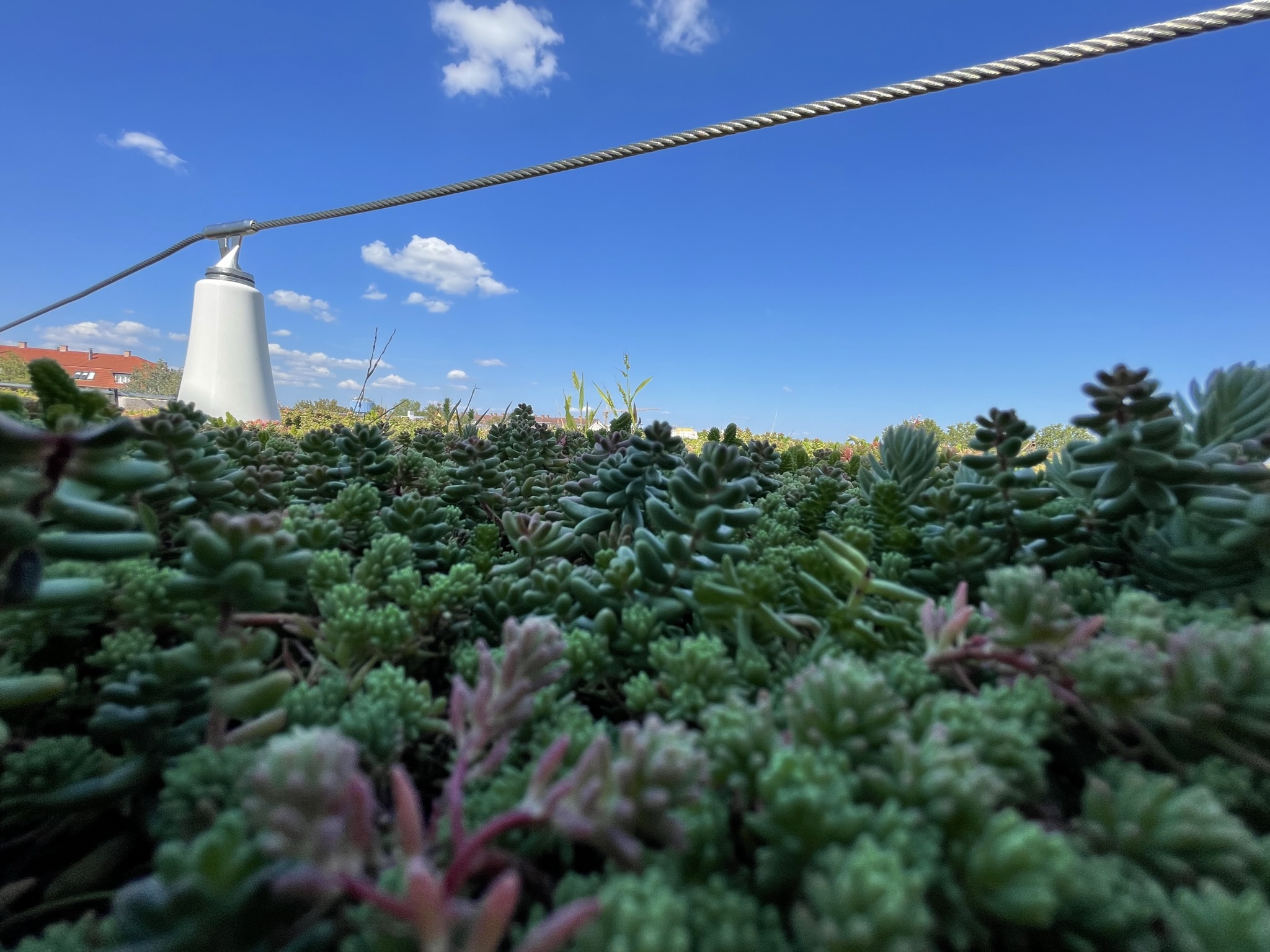 L'importance des systèmes de protection antichute dans le secteur de la construction