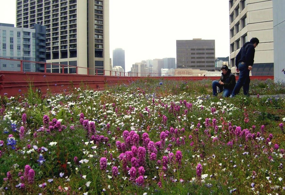 Quelques propositions de solutions pour une architecture durable qui améliore notre bien-être et notre qualité de vie